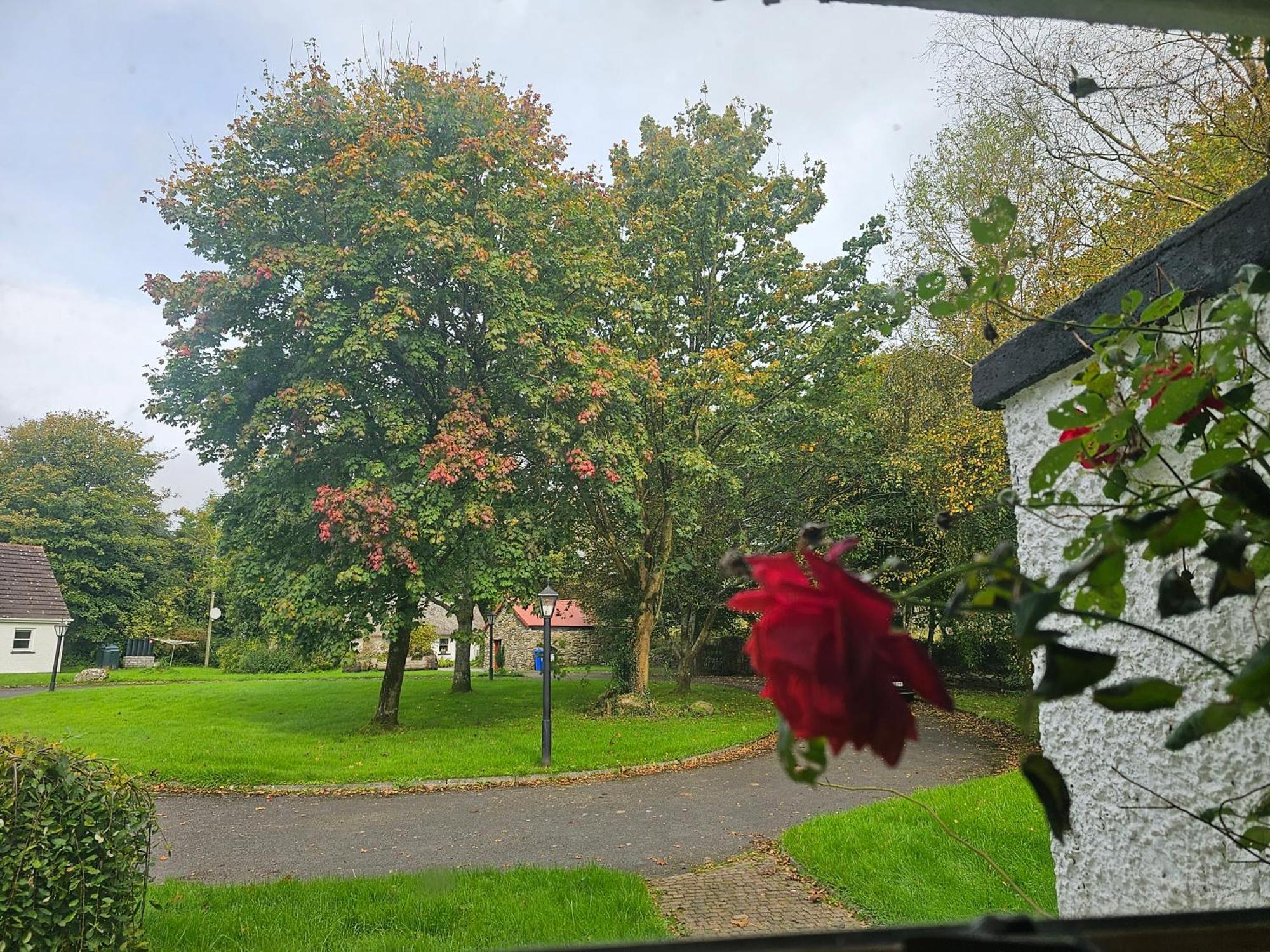 Longford Holiday Red Rose Self Catering Cottage エクステリア 写真